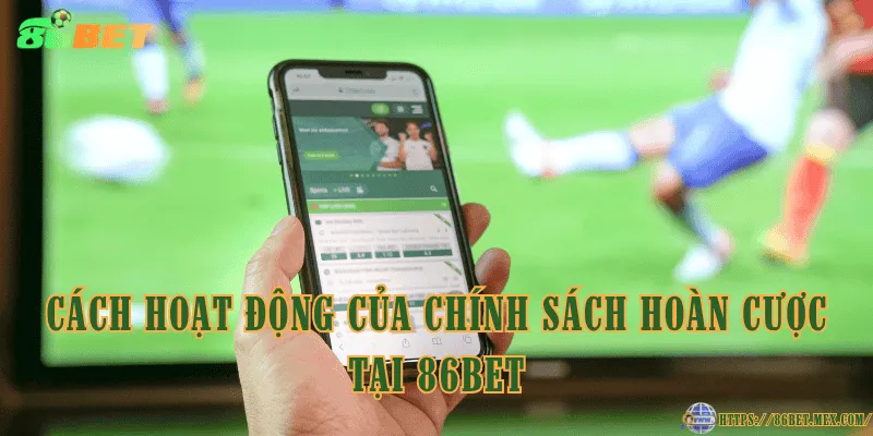 Chính Sách Hoàn Cược 86BET – Bí Quyết Giảm Rủi Ro Khi Chơi Cách hoạt động của chính sách hoàn cược tại 86BET